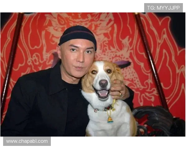 尊龙5218：尊龙5218系列产品的创新设计与用户体验分析