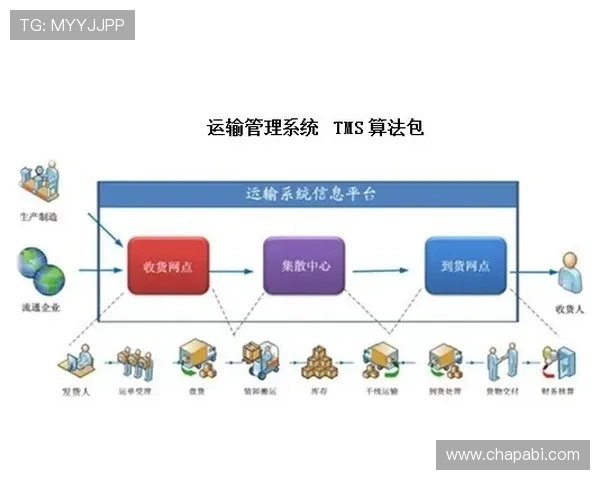 凯时KS国际入口多平台兼容性分析及优化建议帮助玩家顺畅体验