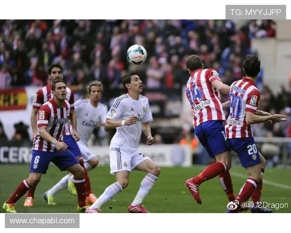 尊龙凯时登录最新版本上线,全面优化游戏界面与操作体验,带来更流畅的娱乐享受