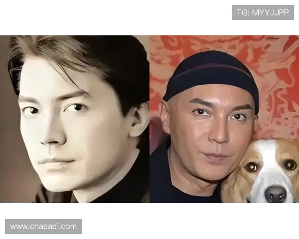 尊龙时凯中国集团人生官网：投资者关系与企业财务信息详细披露指南